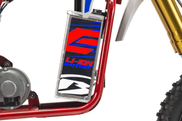 Beta Minicross Electric